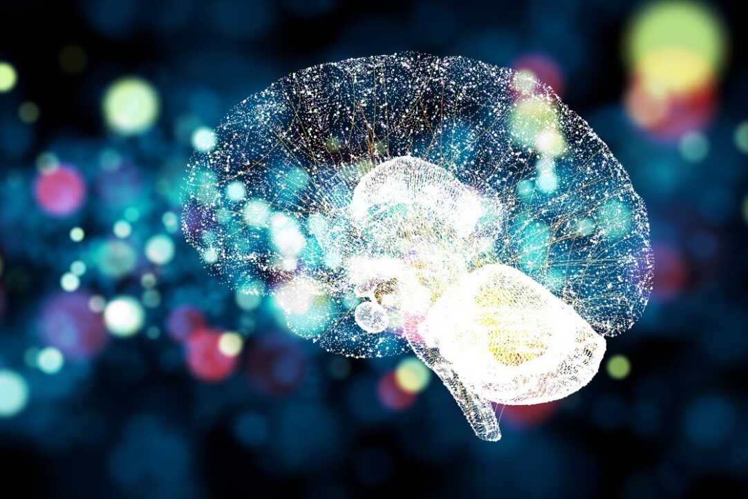 Иллюстрация к новости: «Устойчивый мозг»: ВШЭ запустила стратпроект по нейрокогнитивным технологиям