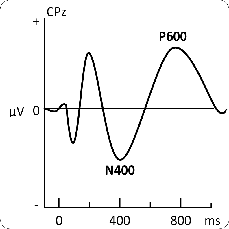 N 400. Потенциал p300. Потенциал n. N400 ky.